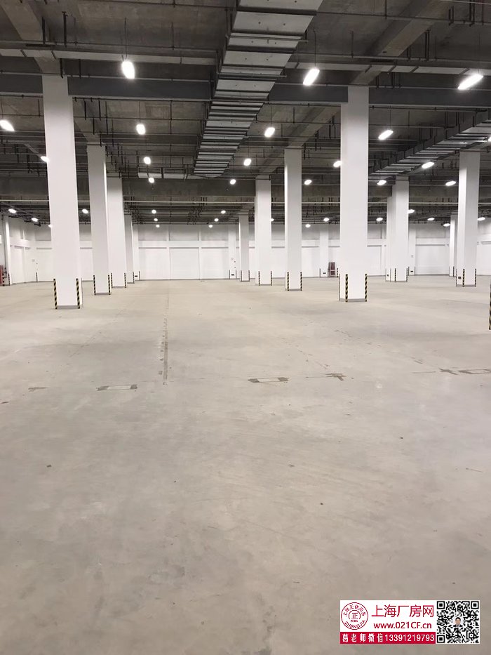 mmexport1509617290580.jpg
