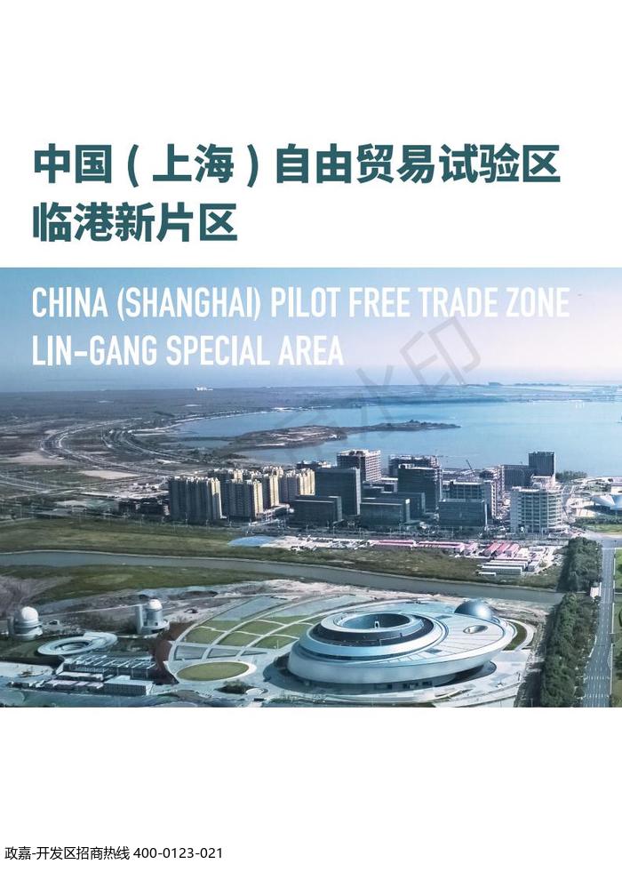 中国(上海)自由贸易试验区临港新片区 国土空间总体规划(2019-2035 年)_01.jpg