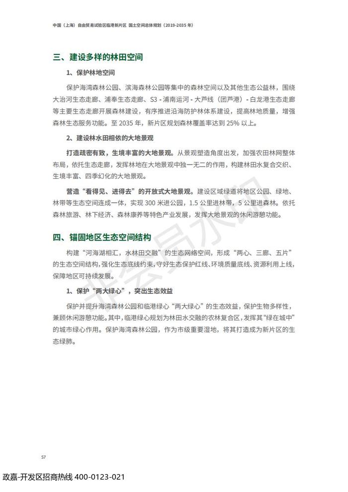 中国(上海)自由贸易试验区临港新片区 国土空间总体规划(2019-2035 年)_61.jpg