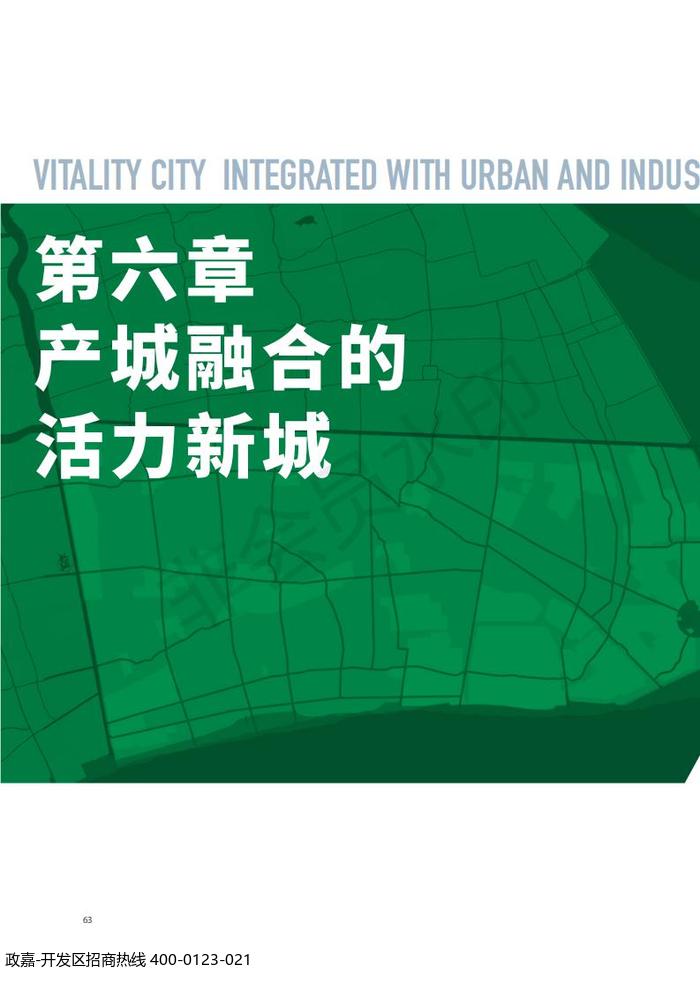 中国(上海)自由贸易试验区临港新片区 国土空间总体规划(2019-2035 年)_67.jpg